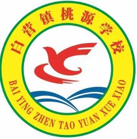 桃源学校“珍爱生命   严防溺水”安全教育