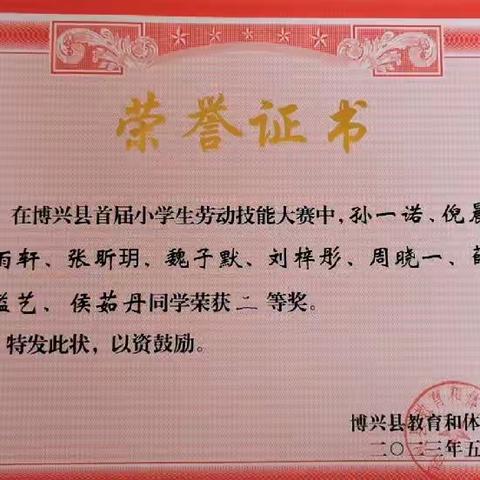 实验小学参加县劳动技能大赛获佳绩