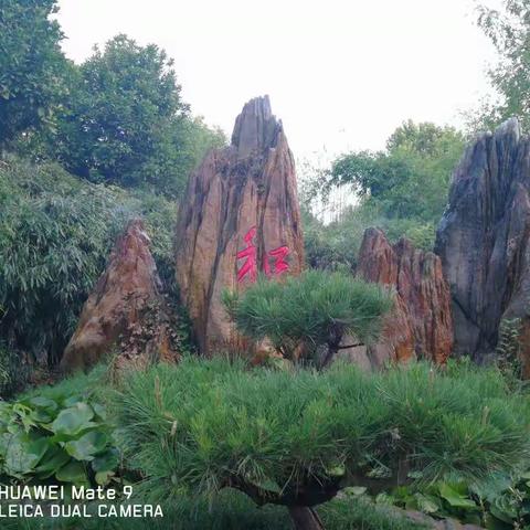 汉冢卢园（副本）