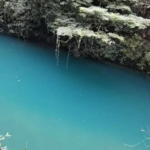 鹧鸪天.秋问（词林正韵第12部尤）