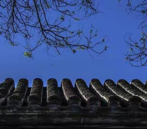 北京胡同的旧貌新颜