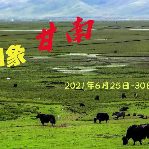 印象甘南