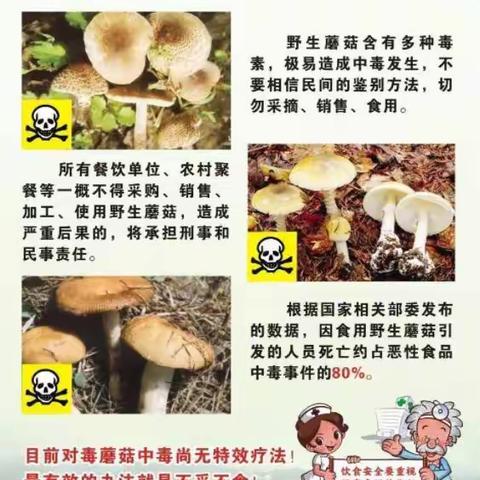 朵朵乐幼儿园毒蘑菇防控知识宣传