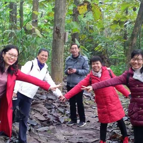 不说话测控荠菜水饺爱跟看啥搜嘎双卡手机额