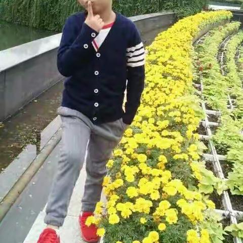 妈妈的全部 妈妈眼中的阳光男孩 健康快乐成长