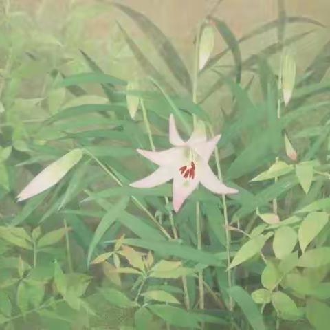 20200220  重要信息报告