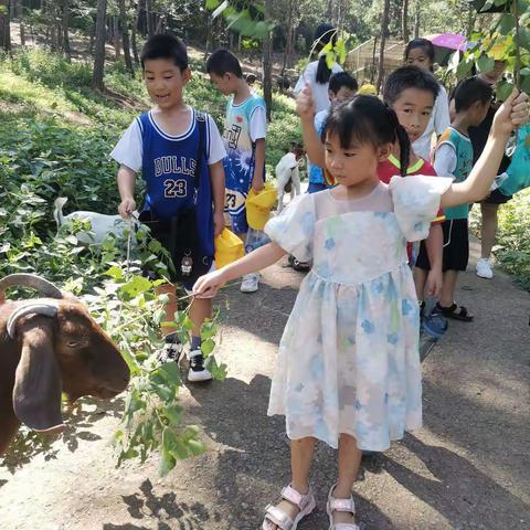 暑期托管助双减，学习拓展两不误 彩虹托管第一期回放