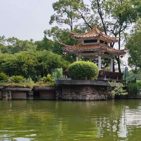 知青姐妹游玩雨湖公园！难忘今宵！😁😁😁🍎🍎🍎