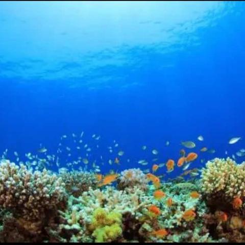 “走进海洋世界，探索生命奥秘”——和政县龙泉小学科普知识进校园