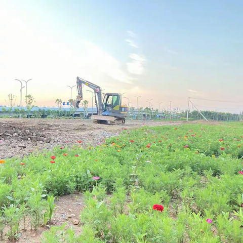 风雨中彰显责任担当—东环路低洼积水点整治工程完美收官