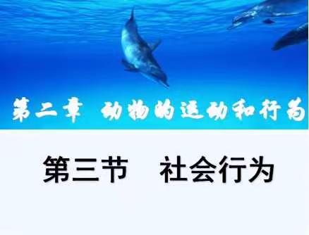 洪山区教科院视导英格中学一分校生物学科“听、说、评”活动反馈
