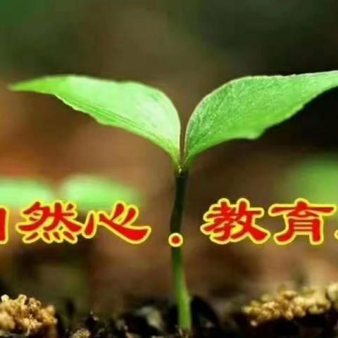 红果果二班自然心教育爱主题课程《小乌龟》
