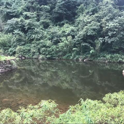 此文已入选《江津文史资料选辑（第23辑）》 前进水厂建设初期的回忆 作者：尚衍修