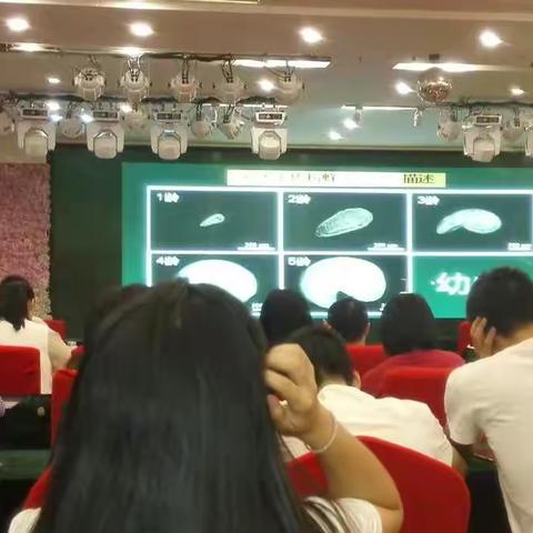 真抓实干，敢于争先—天宝岩管理局率先引进市外单位到我市办会