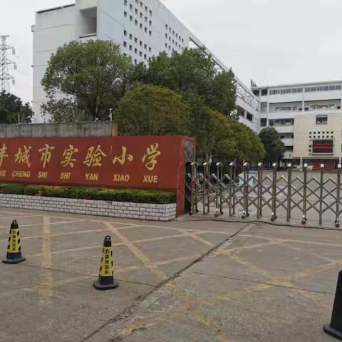 实验小学数学教研听课心得