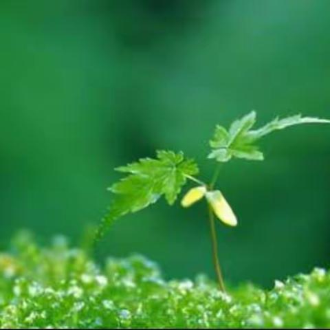 我们一直在努力