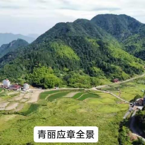 青田西部公路环线，你觉得什么时候能实现？