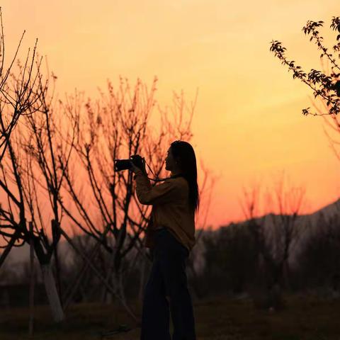 2020春季摄影之旅