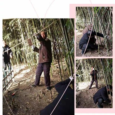 植树美化环境  共建绿色家园