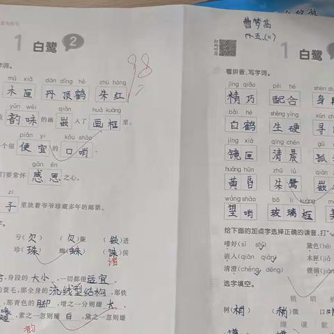 批改作业也是一种享受