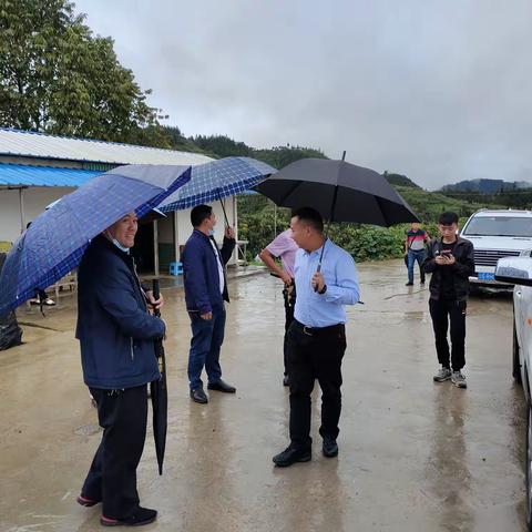 蒙蒙细雨凉爽来  领导关怀 暖人心