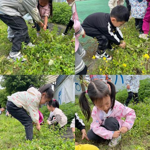 播下种子，收获希望——芦山县双石镇中心幼儿园“五一”活动