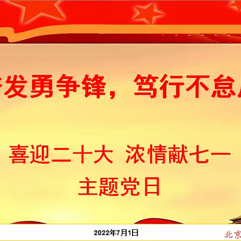 踔厉奋发争先锋   笃行不怠启征程——喜迎二十大   浓情献七一——第七幼儿园开展庆“七一”主题党日活动