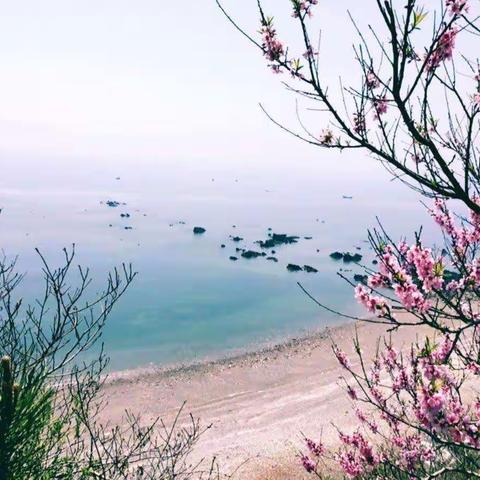 🏡伟才幼儿园🏠蒙氏六班防控大疫情，停课不停学隔离病毒😷 但不隔离爱❤️