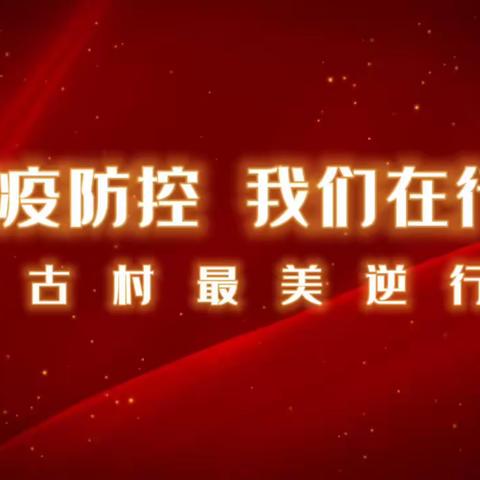 “疫情防控  我们在行动”——羊古村守护者
