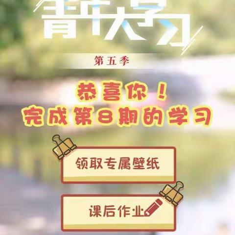 小宋镇团结小学青年大学习汇总