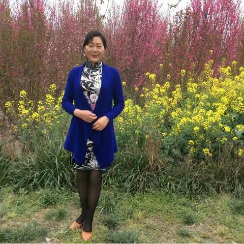 梅开二月，探花寻柳