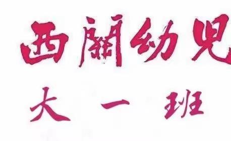 西关情，童精彩——大一班居家生活与学习指引活动小结（2022.4.11～～2022.4.15）