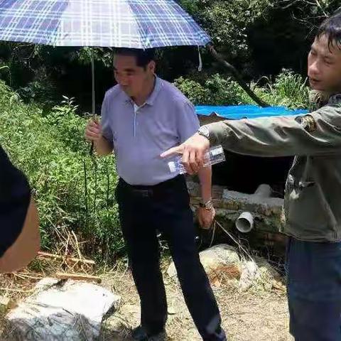 刘怀明副县长到洋中镇现场了解中央生态环保督察交办信访件进展情况