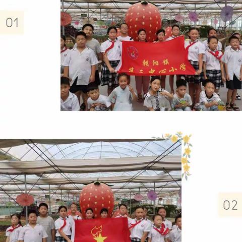 “红领巾   爱劳动”——洛阳市孟津区朝阳镇第三中心小学
