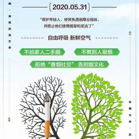 远离烟草，守护健康——龙江镇中心学校世界无烟日倡议书