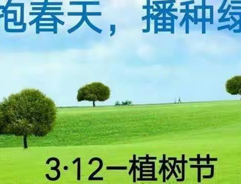 夏造中心小学开展——“植一株绿植，溢一片春光”活动