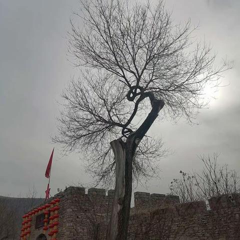 梦里老家—沂蒙颂