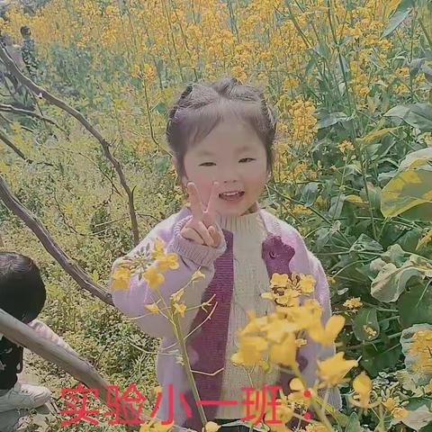 坞墙实验幼儿园本周——班级之星🌟