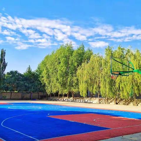 课后延时服务☆遇见最美的自己