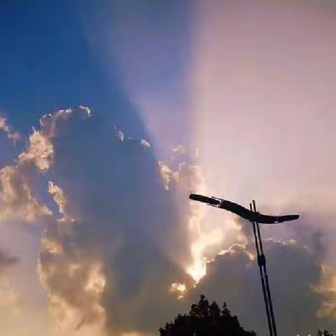 【课题动态3】“寻找生活中的化学”九年级—课堂实验与课外探究相结合提高学生化学探究能力