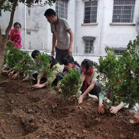 当护绿使者    建绿色校园——钟山县回龙镇龙虎完全小学植树节主题活动