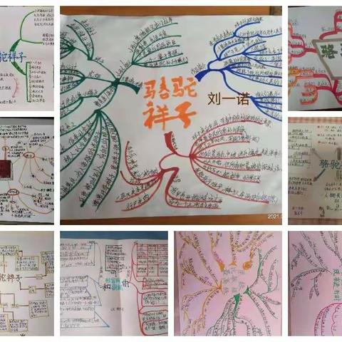 寒假优秀思维导图展示，一份坚持一分收获，越努力，越幸运！充实的寒假生活，你我共同努力！！！
