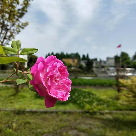 学子归来，井然有序——解放小学的同学们开学啦！