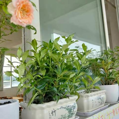 一切都是为了你们的到来——解放小学的学子们