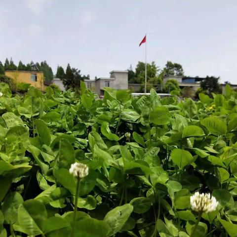 解放乡中心小学2020年秋开学告家长书