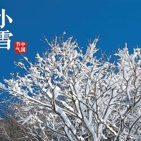 “小雪到 冬始俏”长丰县北城富民路幼儿园小雪节气主题活动