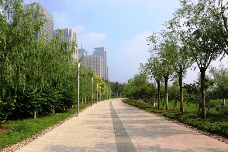 塘沽彩带公园
