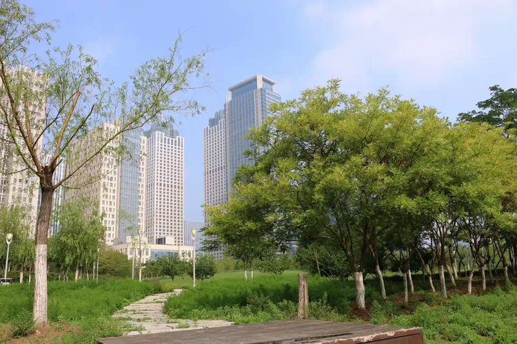 塘沽彩带公园