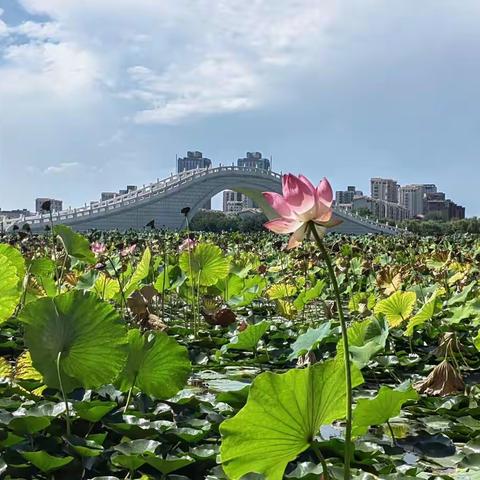 晚间诗词品评及匠作