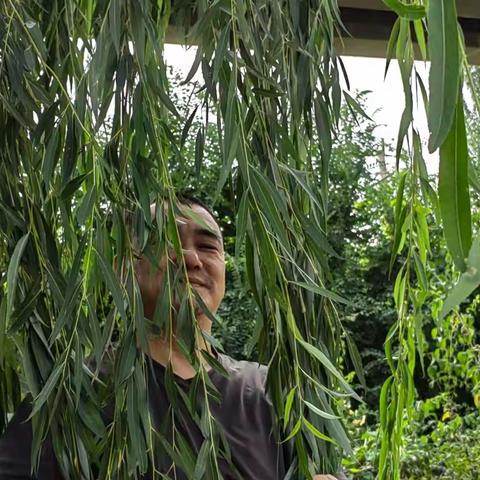 通临《郭虚己墓志》